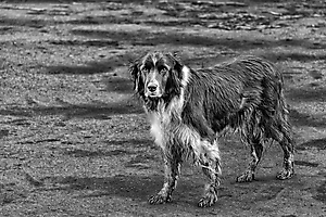 _DSC0572-Modifier-Modifier