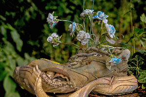 _DSC9580-Modifier-Modifier-Modifier