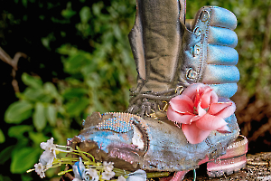 _DSC9582-Modifier-Modifier