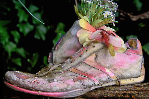 _DSC9585-Modifier-Modifier copie