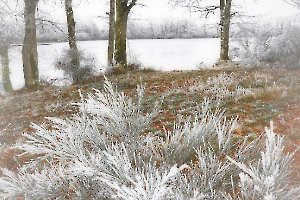 04 Ambiance Hivernale