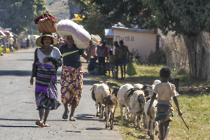 Gilbert - jour de marché