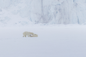 1G2A3541-Avec accentuation-Bruit-2