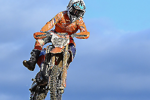 _DSC0133X - Copie - CopieX