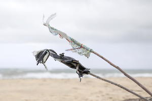 _guinot-E001_1_V8A3477 copie2