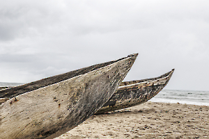 _guinot-E004_V8A3487 copie 2