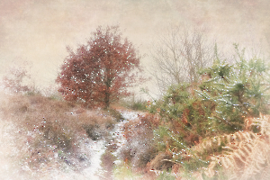 M. Beaufils - Frisson d'hiver 3