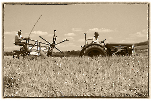 moisson 02 sepia 1920