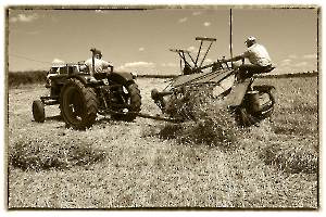 moisson 05 sepia 1920