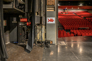 Poisson dans le théâtre-Modifier