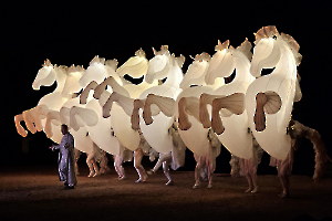 06-Dresseur de Chevaumineux