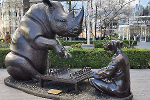 53586177403_371c59c049_o