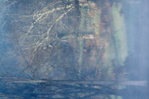 _DSC7836  c imp copie