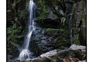 Au pied du HOHNECK (88)