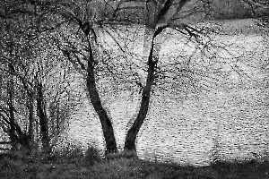 M. Beaufils - Stratification 