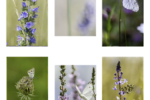 M. Beaufils - Marque-pages 1920 x 1280 14.10.2025 