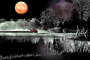 Photos de la semaine