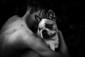 Le chien de l'enfant 