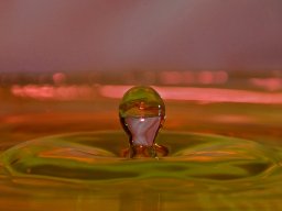 Galeries adhérents &raquo; Elisabeth Guinot