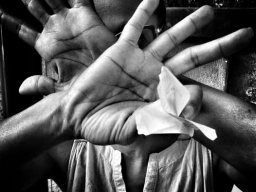 Galeries adhérents &raquo; Didier Martin