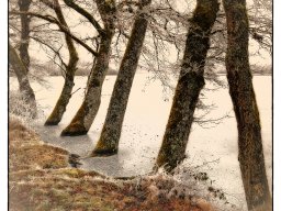 Galeries adhérents &raquo; Gilles Guillet