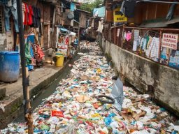 Galeries adhérents &raquo; Hubert Sacksteder