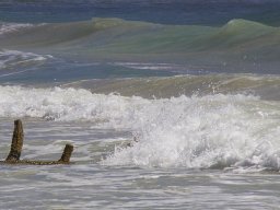 Galeries adhérents &raquo; Michel Mosnier