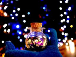 Galeries adhérents &raquo; Romain Girard