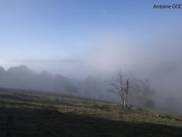 brouillard pluie givre
