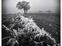 brouillard pluie givre