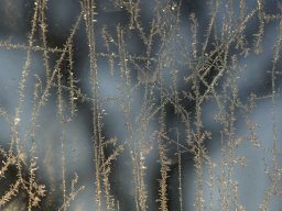 brouillard pluie givre