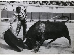 photographes francais