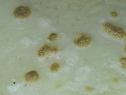 schmilblick le retour