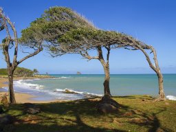 2020 coupe de france nature papier