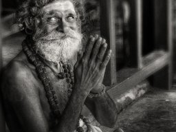 2020 regional ip monochrome