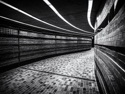 2020 regional papier monochrome