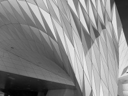 2021 regional ip monochrome