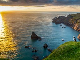 2021 regional ip nature