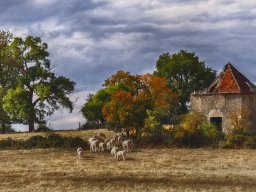 2022 coupe ip monochrome