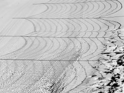 2022 regional ip monochrome