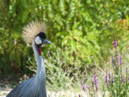 2022 regional ip nature