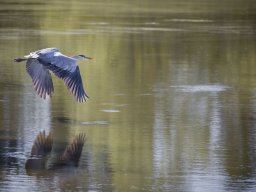 2023-national-1-nature-papier