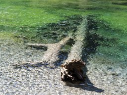 2023-regional-papier-couleur