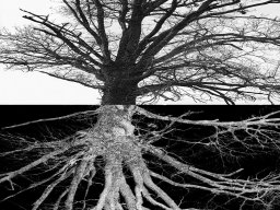 2024 Regional Auteur papier