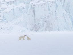 2024 Regional Nature Papier