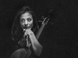 2025 Regional Auteur IP