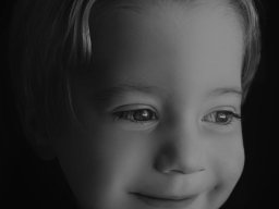 2025 Regional Image Projetée Monochrome