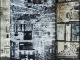 2025 Regional quadrimage