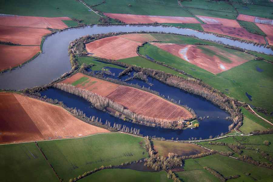 Spaghettis Basilic 1