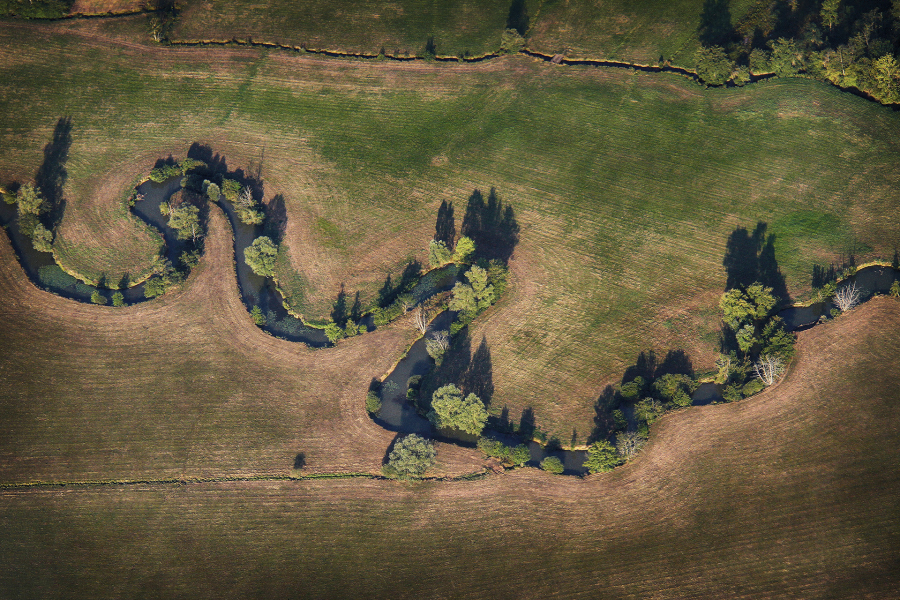 Spaghettis Basilic 4